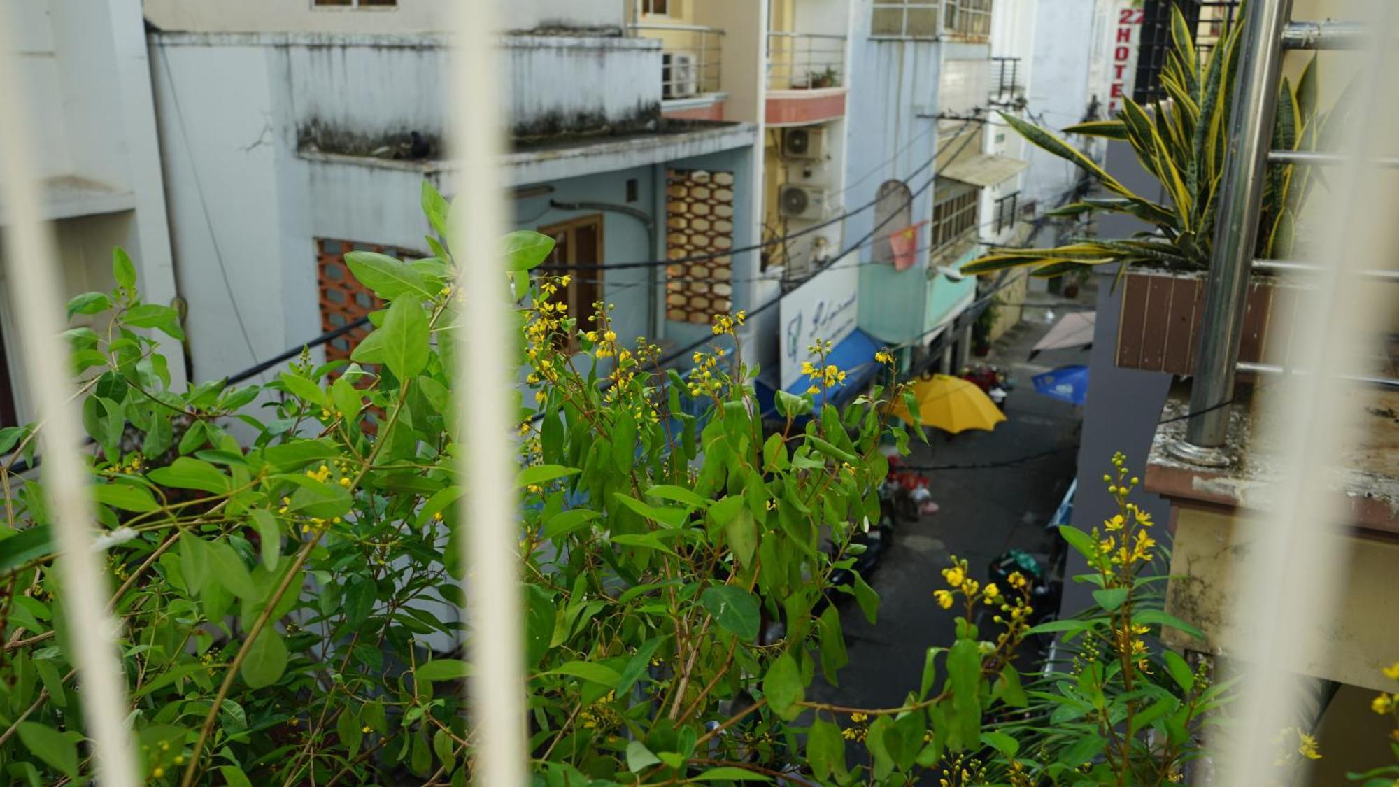 Maiam Homestay Ho Chi Minh Zewnętrze zdjęcie